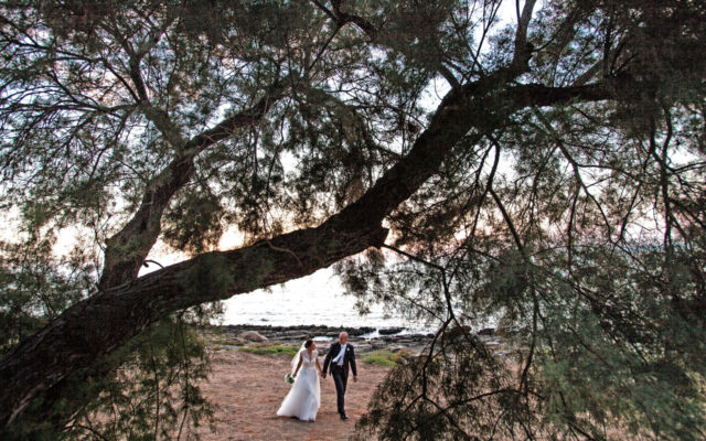 walter sabato wedding photographer