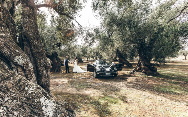 walter sabato wedding photographer